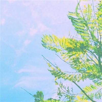 金沙app下载官网