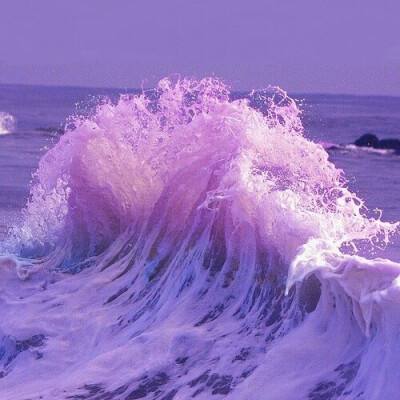 im电竞手机app下载